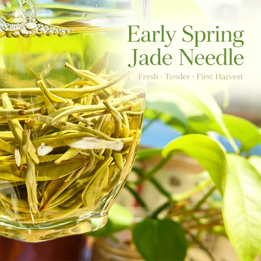 Early Spring Jade Needle