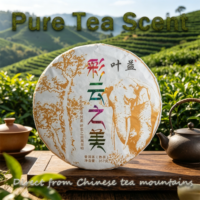 Beauty of Colorful Clouds Ripe Pu'er